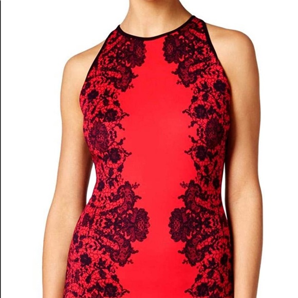 Flocked Velvet Bodycon Dress - Picture 4 of 14